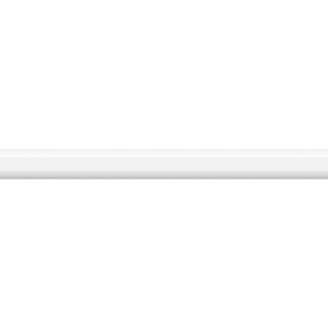 Apple Pencil (USB-C)